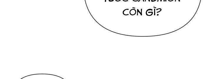 page 233