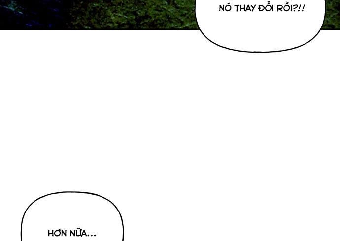 page 242