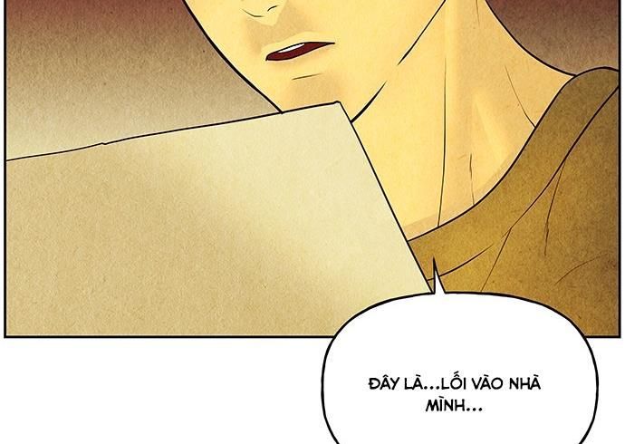 page 244