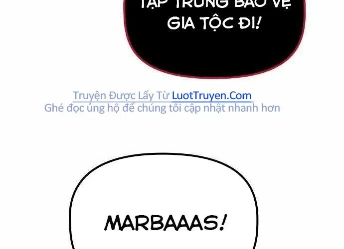 page 258