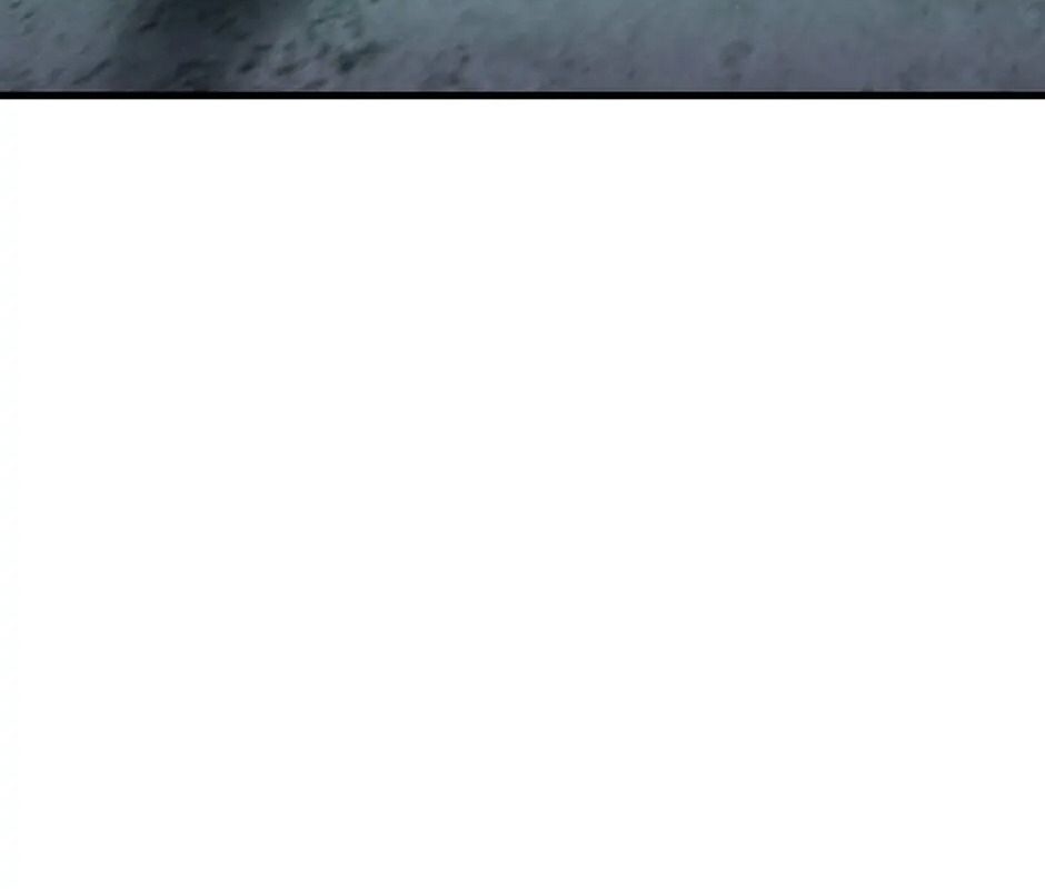 page 206