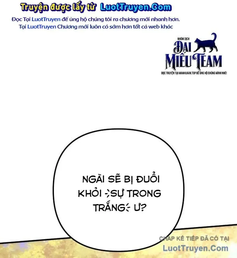 page 243