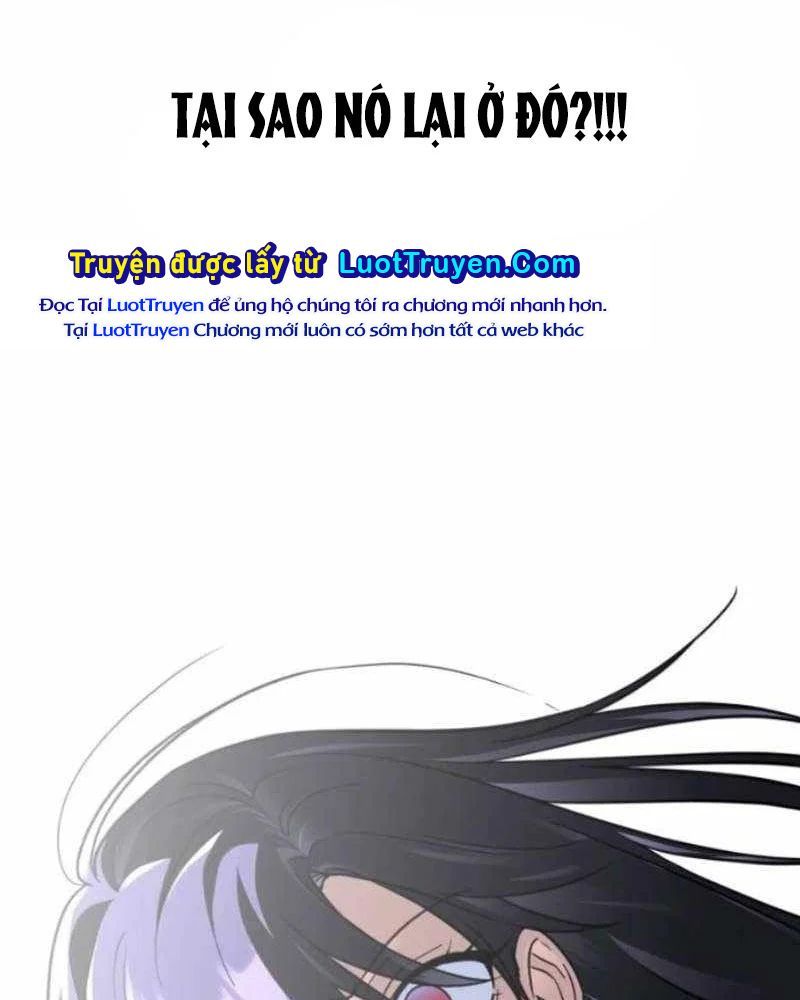 page 213