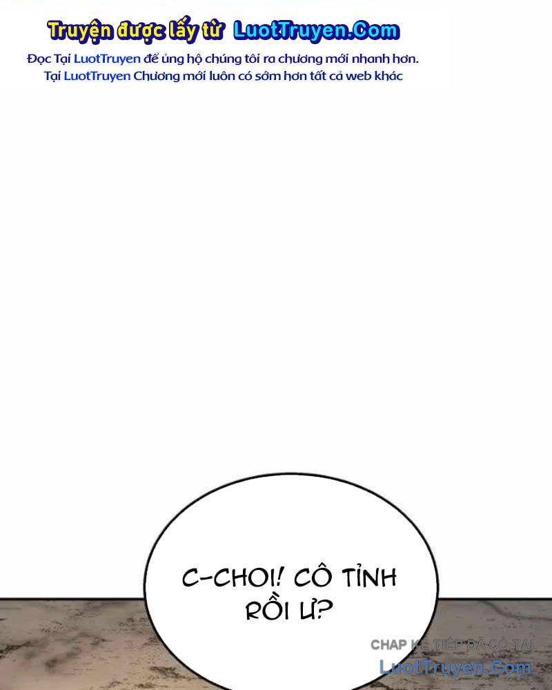 page 219