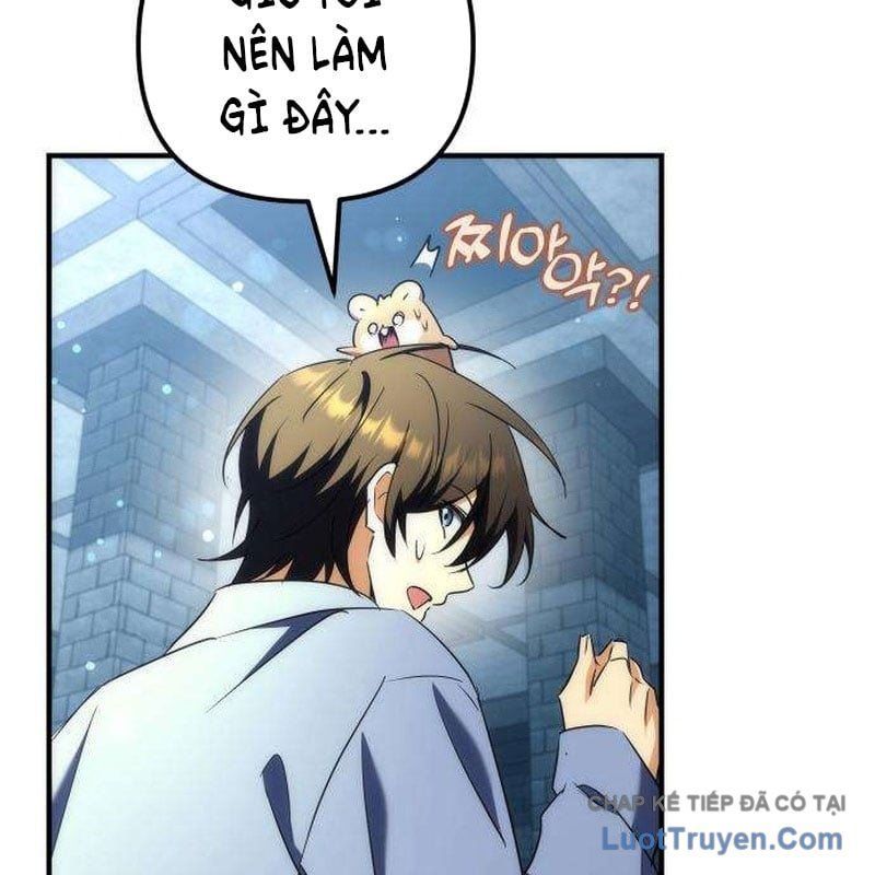 page 247