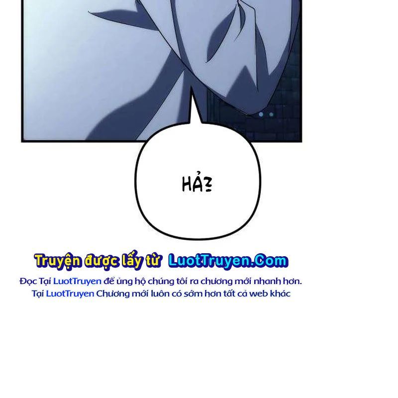 page 248