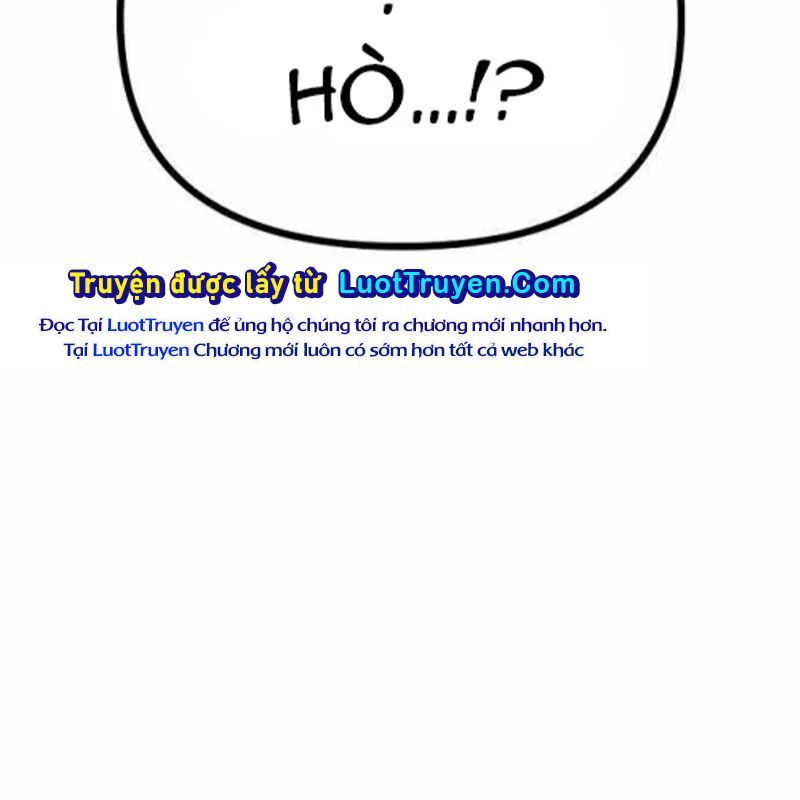 page 239