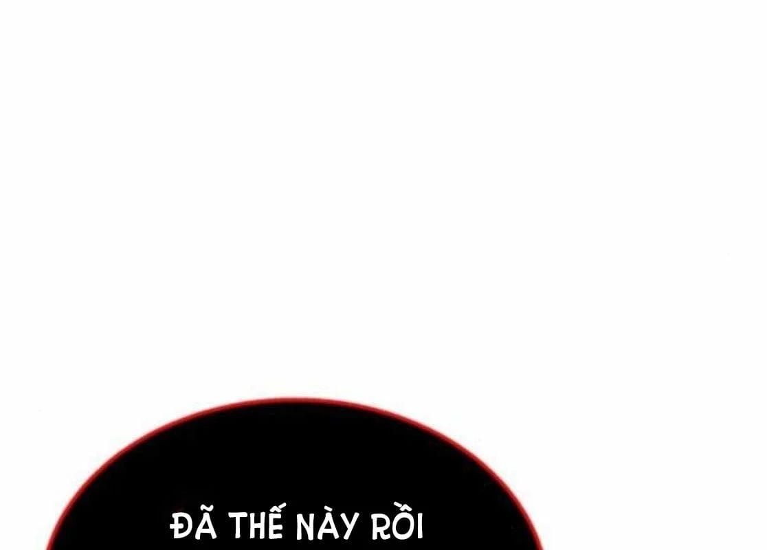 page 217