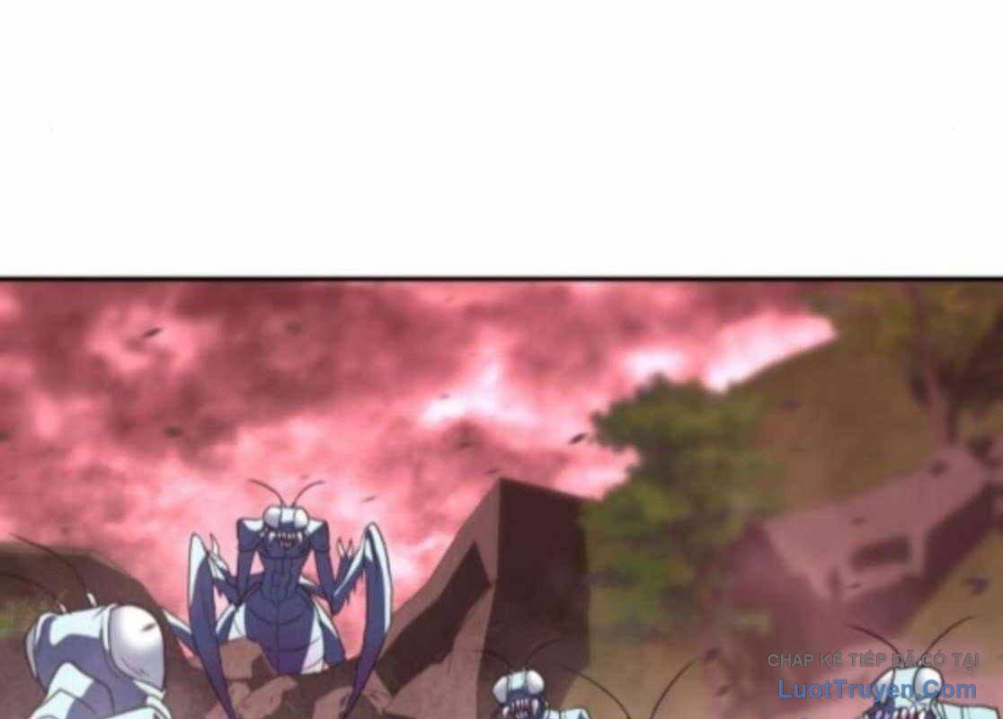 page 247