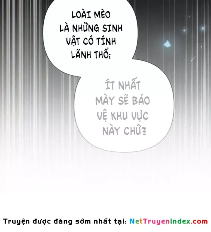 page 247