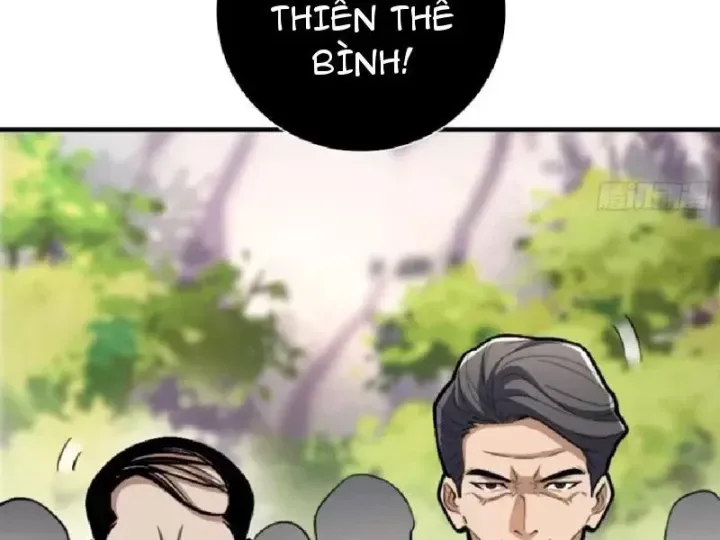 page 229