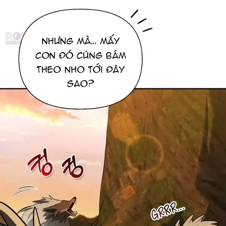 page 247