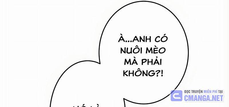 page 381