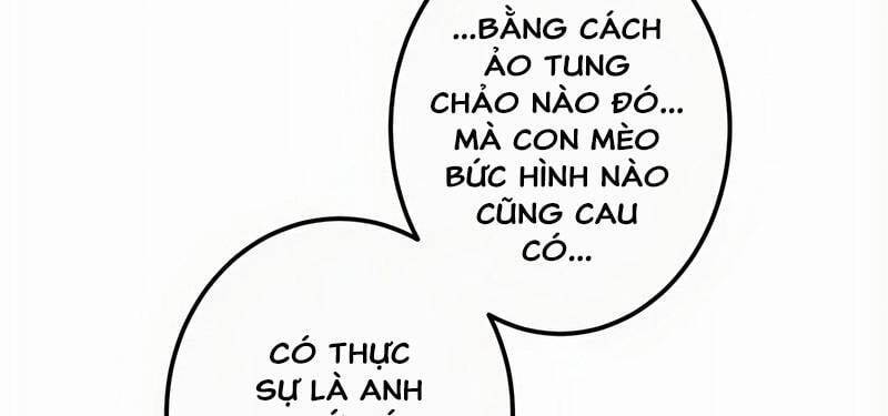 page 409