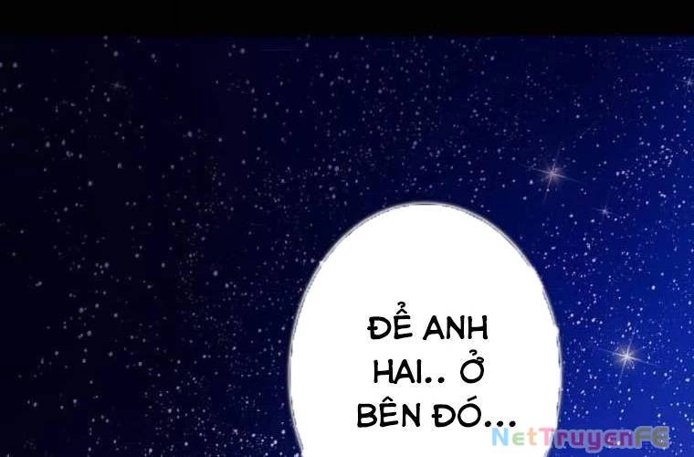 page 230