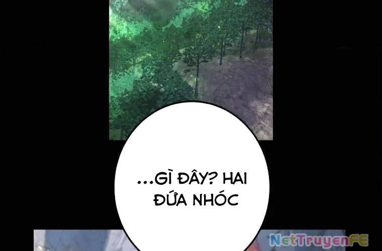 page 237