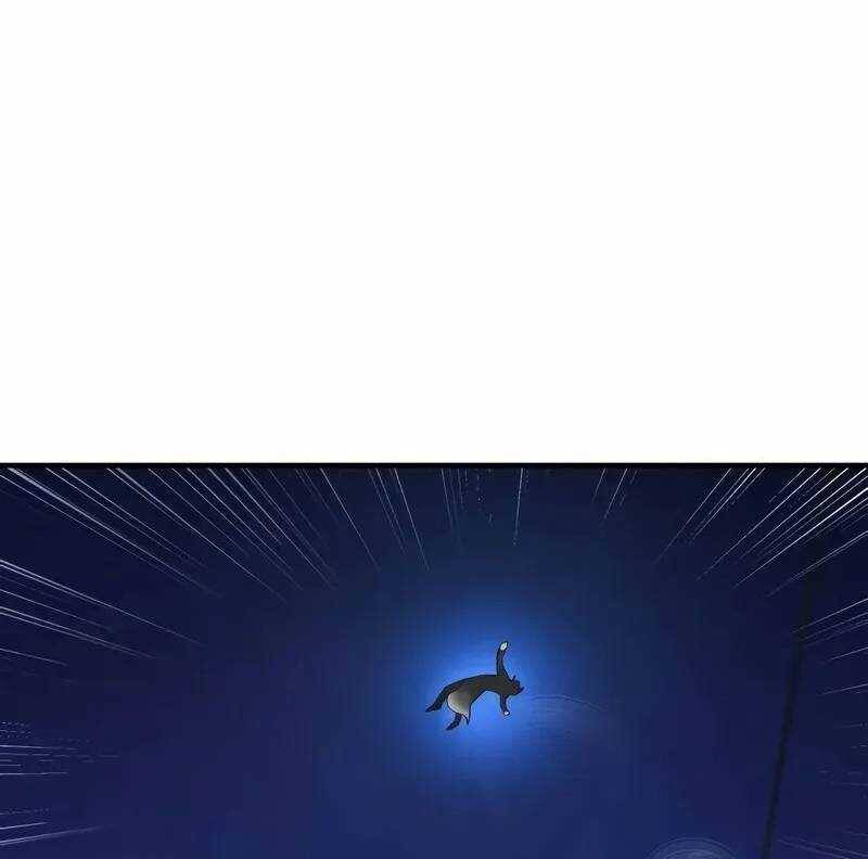 page 217