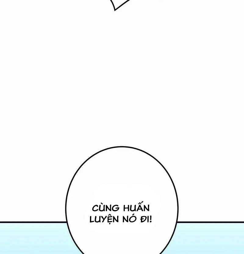 page 251