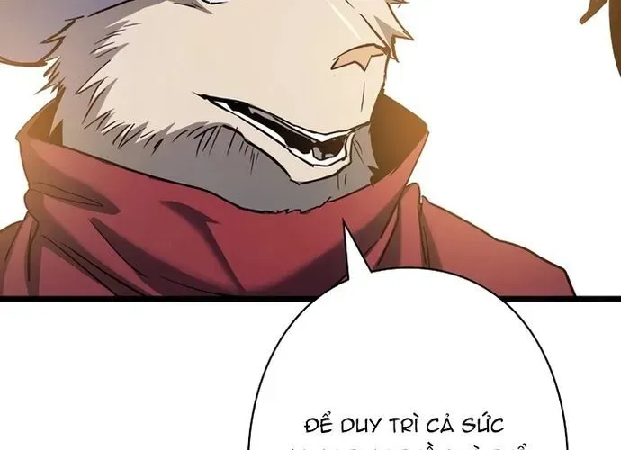 page 241