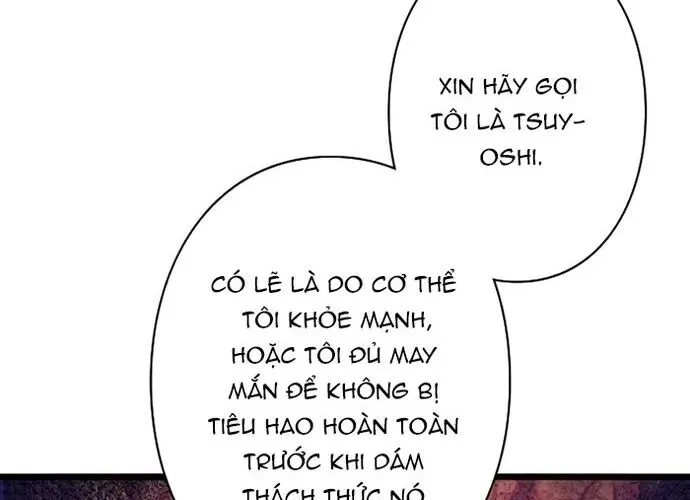 page 244
