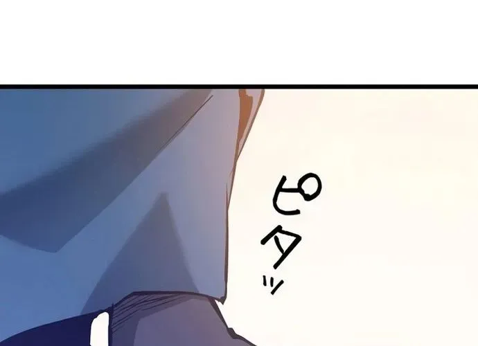 page 248