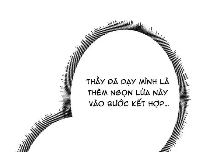 page 241