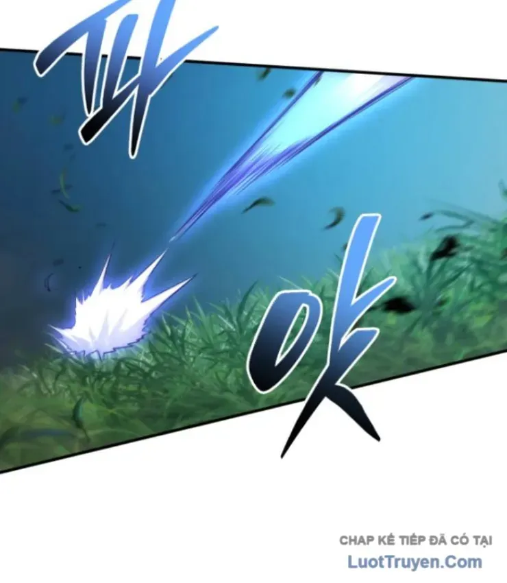 page 256