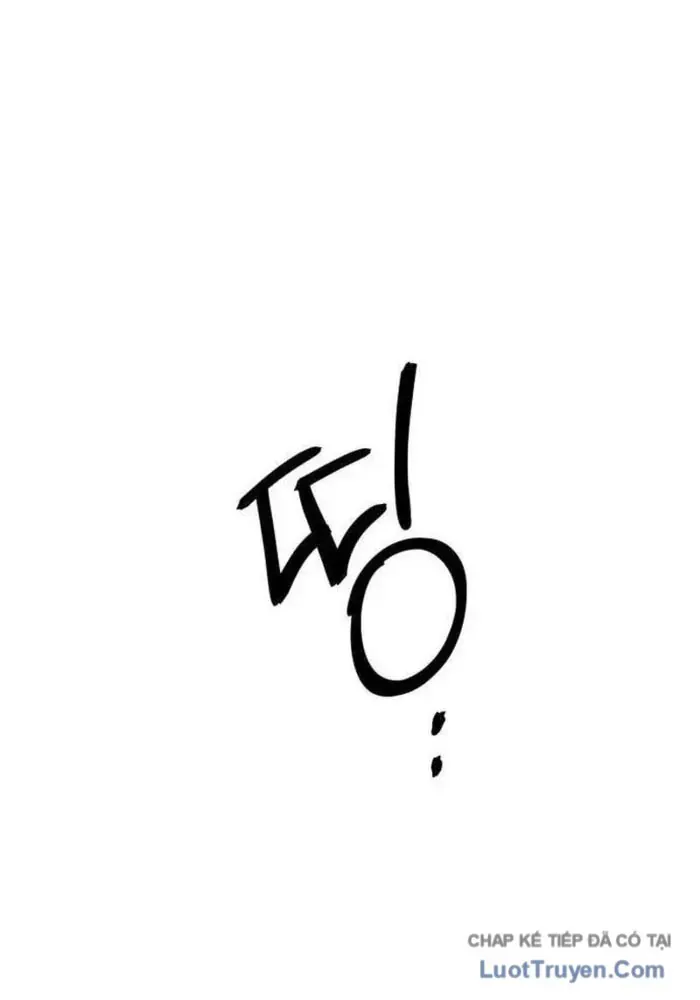 page 241