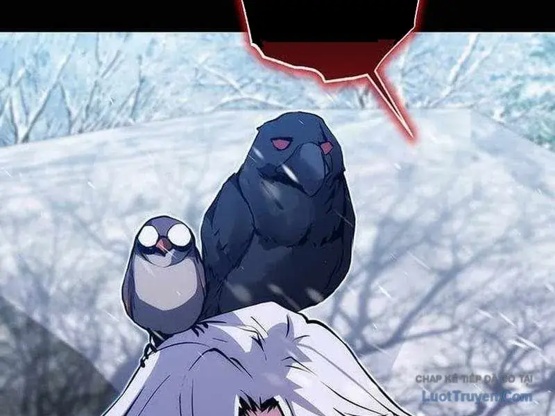 page 205