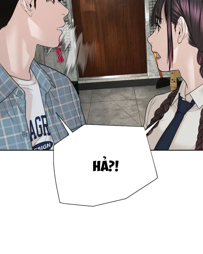 page 231
