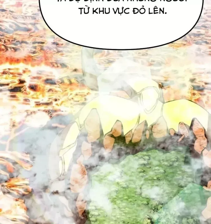 page 207