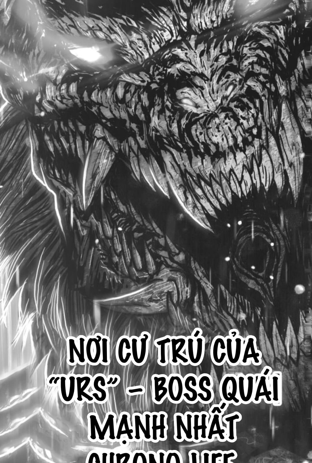 page 291