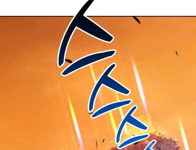 page 244