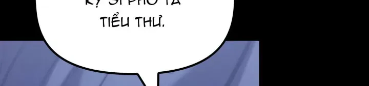 page 263