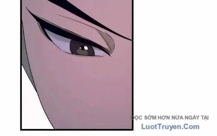 page 217