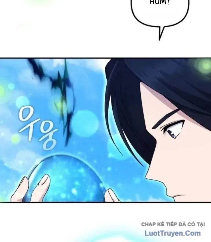 page 204