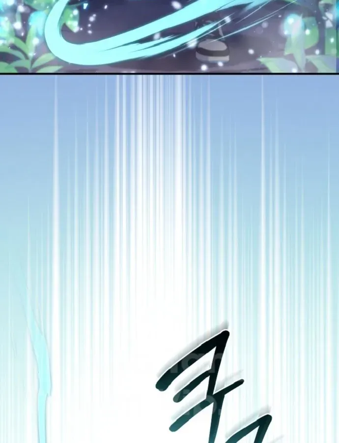 page 217