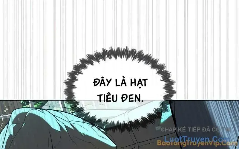 page 293