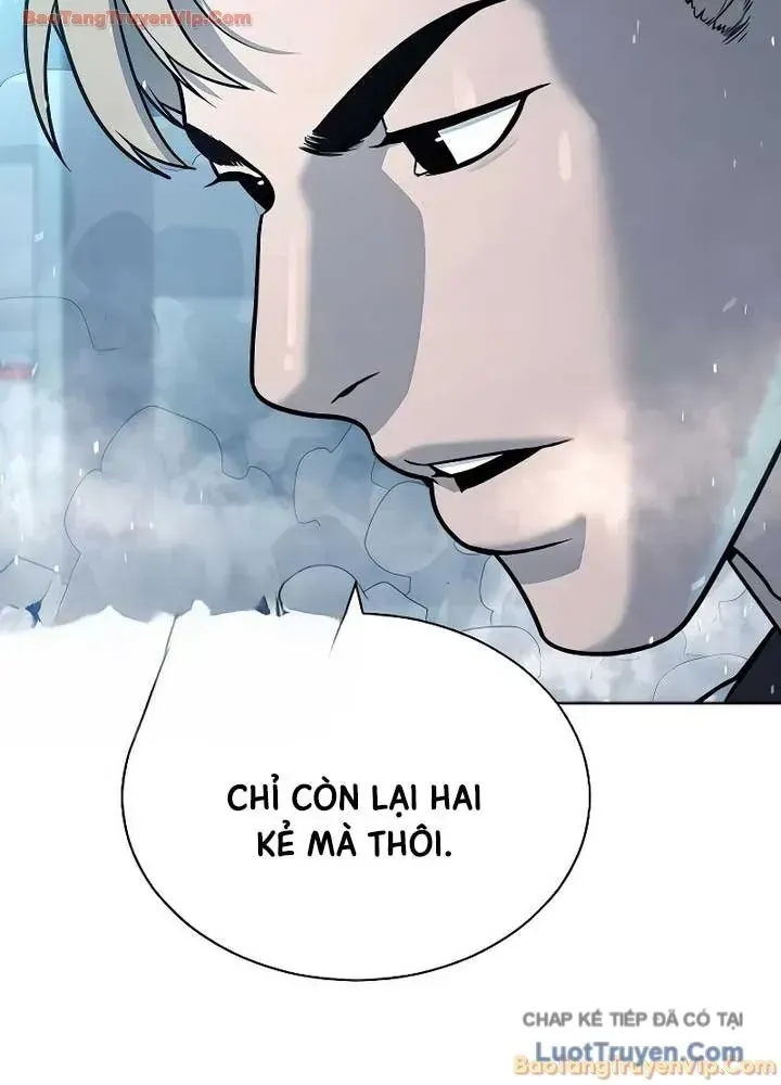 page 239