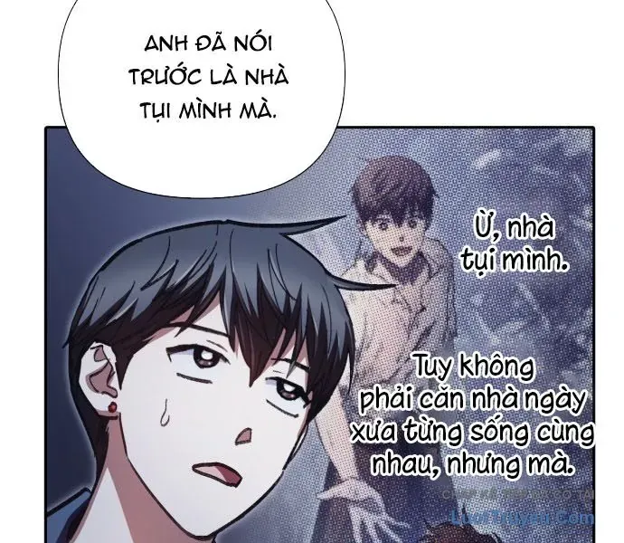 page 245