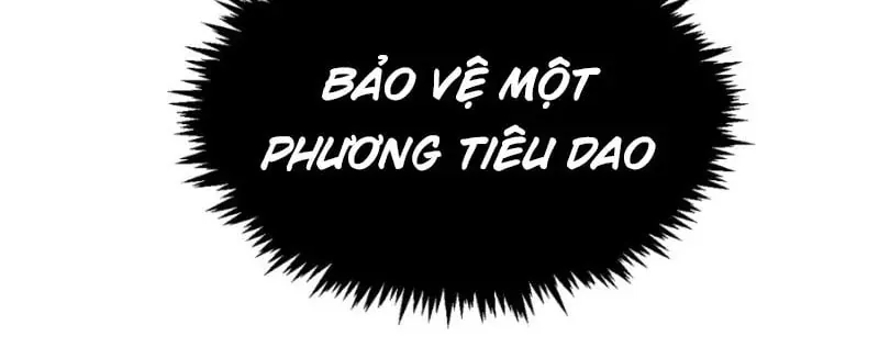 page 216