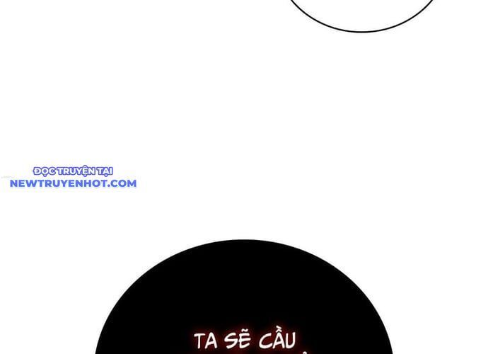 page 232