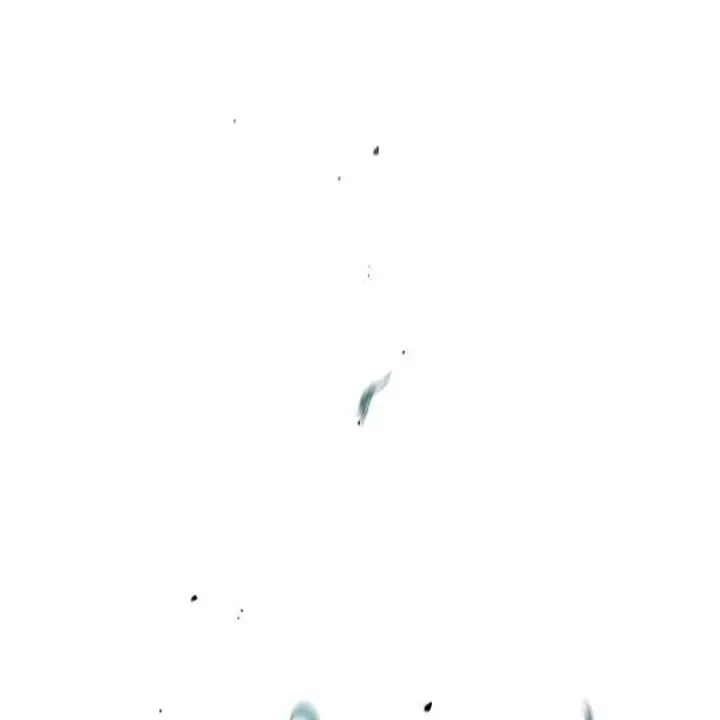 page 204
