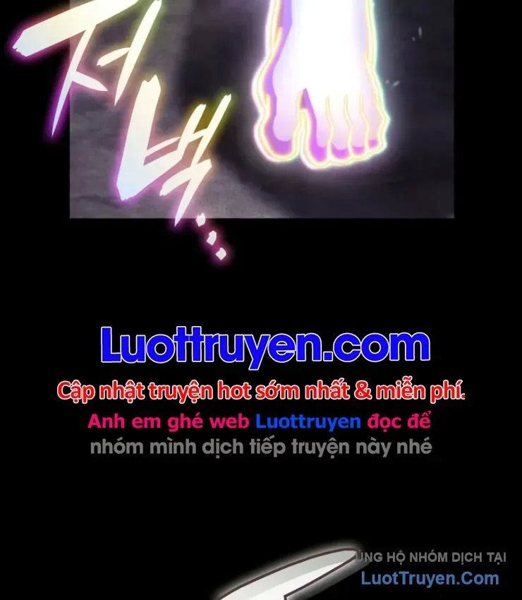 page 238