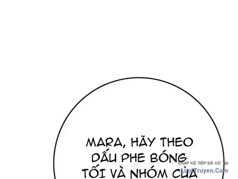 page 237