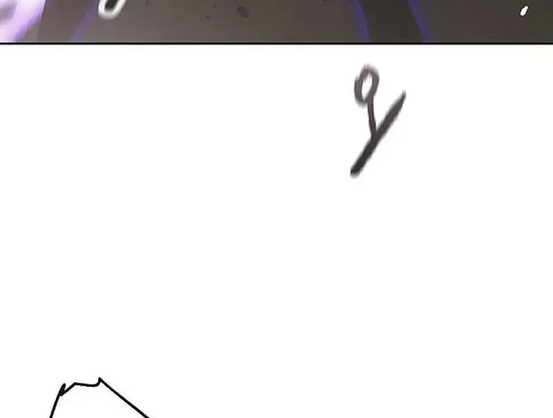 page 247