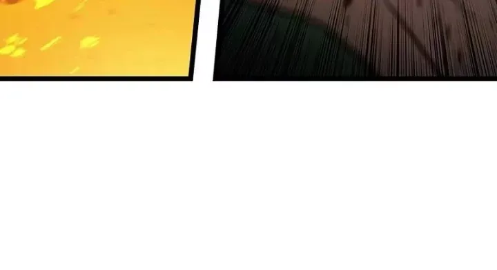 page 215