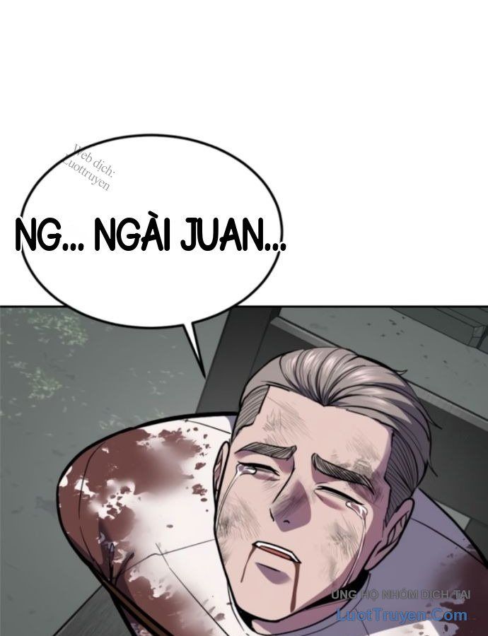 page 231