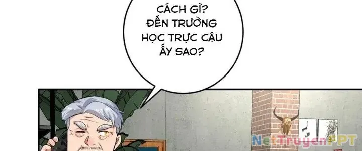 page 207