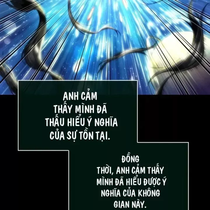 page 217